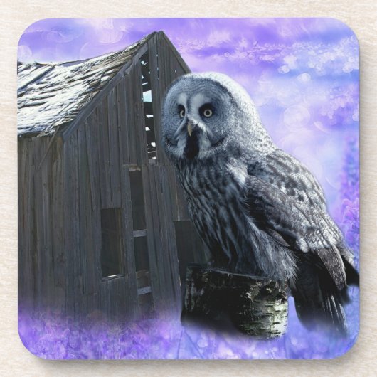 Owl Barn Shed Getränkeuntersetzer (Vorderseite)