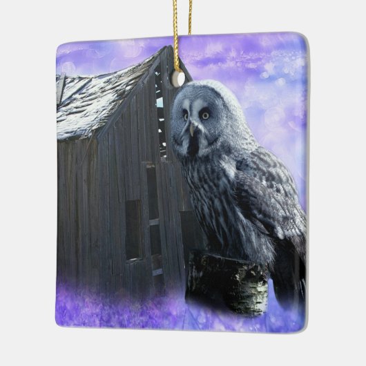 Owl Barn Shed Keramikornament (Links)