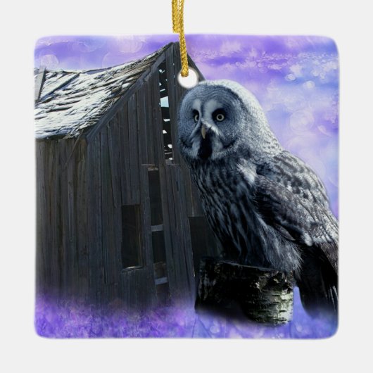 Owl Barn Shed Keramikornament (Vorderseite)