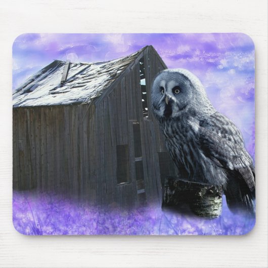 Owl Barn Shed Mousepad (Vorne)