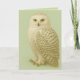 "Owl be missing you" card. Karte