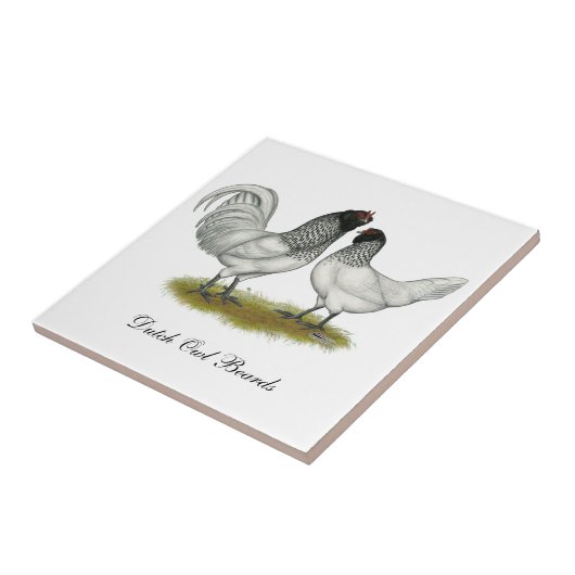 Owl Beard Chickens Fliese (Seite)