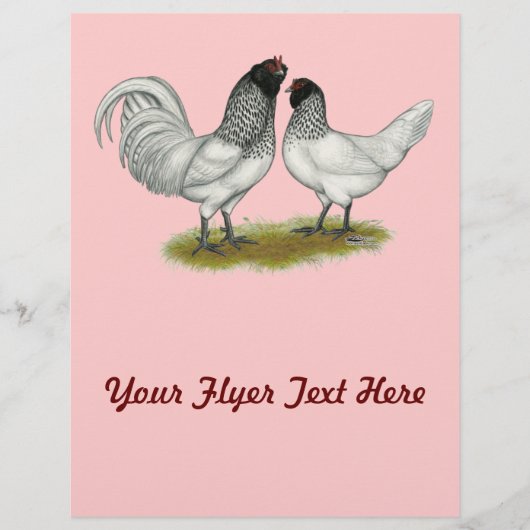 Owl Beard Chickens Flyer (Vorne)