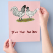 Owl Beard Chickens Flyer (Hand)
