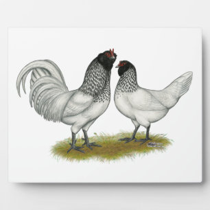 Owl Beard Chickens Fotoplatte