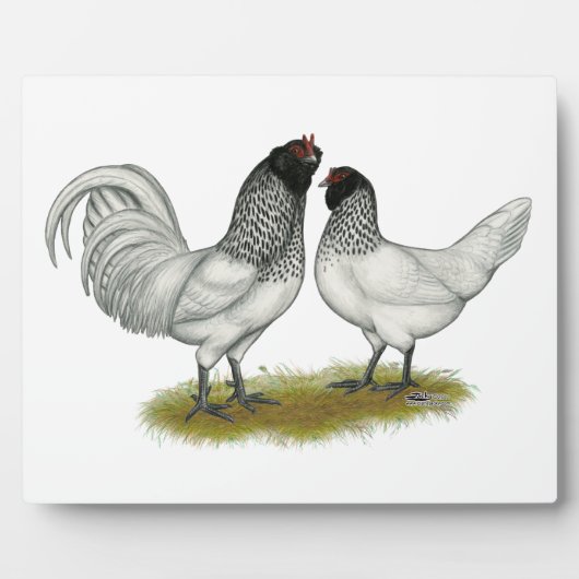 Owl Beard Chickens Fotoplatte (Vorderseite)