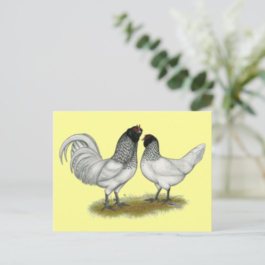 Owl Beard Chickens Postkarte (Stehend Vorderseite)