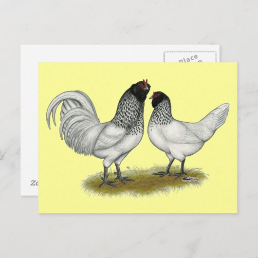 Owl Beard Chickens Postkarte (Vorne/Hinten)