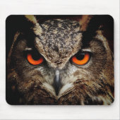 Owl Beauty Mousepad (Vorne)