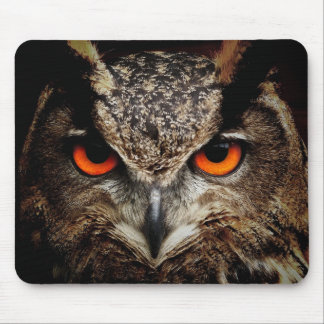 Owl Beauty Mousepad