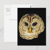 Owl-Bild Postkarte (Vorne/Hinten)