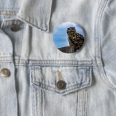 Owl Bird Feathers Animal Nature Destiny Peace Love Button (Beispiel)