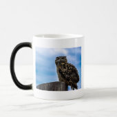 Owl Bird Feathers Animal Nature Destiny Peace Love Verwandlungstasse (Links)