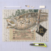 Owl Bird Französisches Skript Ephemera Decoupage Seidenpapier (Handwerk)
