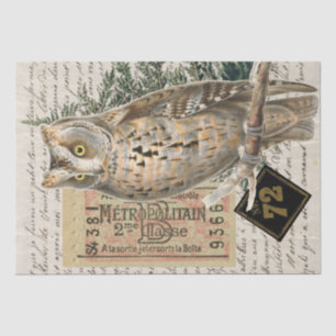 Owl Bird Französisches Skript Ephemera Decoupage Seidenpapier