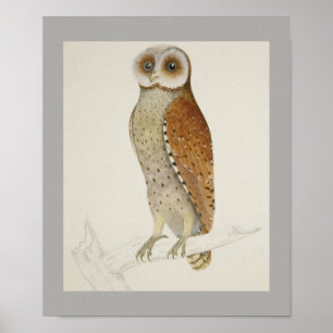 Owl Bird Peace Hütte Office Destiny's Destiny Poster