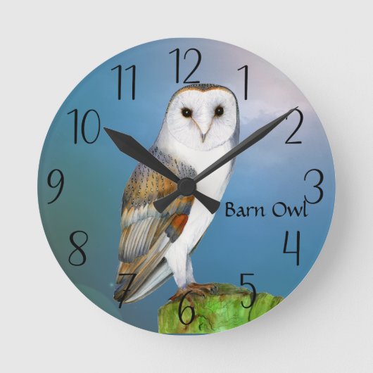 Owl Bird Wasserfarbe Malerei Uhr (Vorderseite)