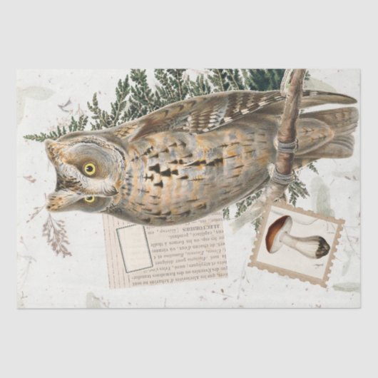 Owl Bird Woodland Mushroom Ephemere Decoupage Seidenpapier (Vorderseite)