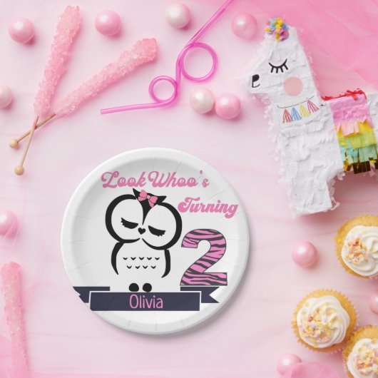 Owl Birthday Paper Plate Pappteller (Party)