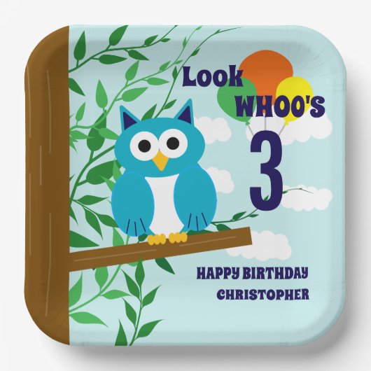 Owl Birthday Pappteller (Vorderseite)