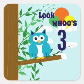 Owl Birthday Quadratischer Aufkleber (Vorderseite)