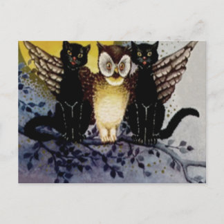 Owl Black Cat Full Moon Tree Night Postkarte