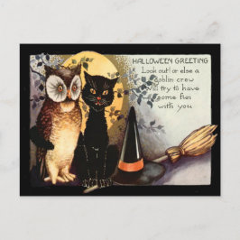 Owl Black Cat Vollmond Hexe hat einen Hutschlauch Postkarte
