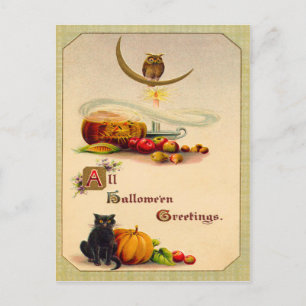 Owl Black Pumpkin Jack O' Lantern Postkarte