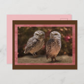 Owl Buddies Postüberqueren Postkarte (Vorne/Hinten)