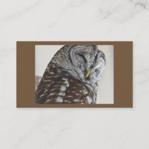 Owl Business Cards Visitenkarte