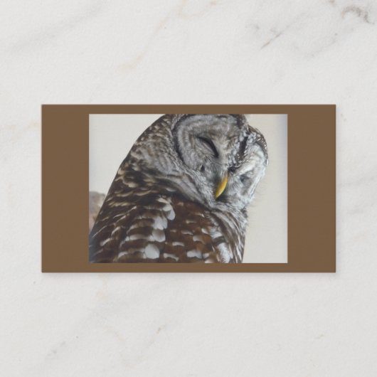 Owl Business Cards Visitenkarte (Vorderseite)