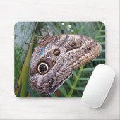 Owl Butterfly Mousepad (Mit Mouse)