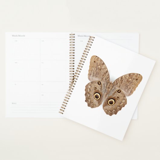 Owl Butterfly Planer (Anzeige)