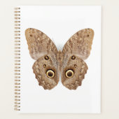 Owl Butterfly Planer (Vorderseite)