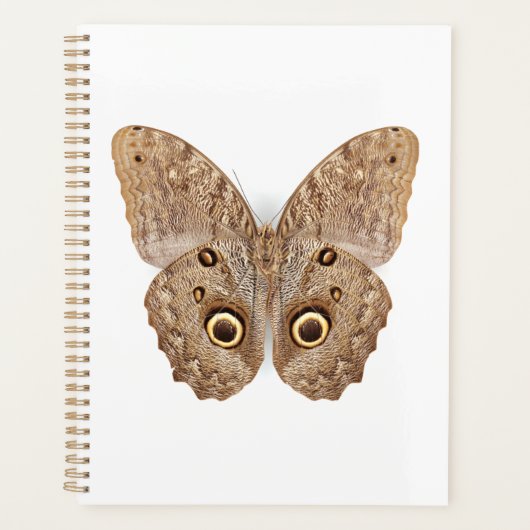 Owl Butterfly Planer (Vorderseite)