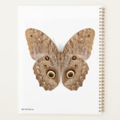 Owl Butterfly Planer (Rückseite)