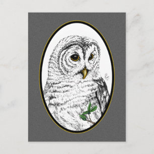 Owl Cameo Postcard Postkarte