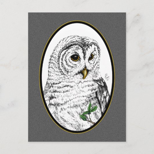 Owl Cameo Postcard Postkarte (Vorderseite)