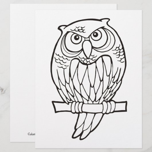 Owl Cartoon Colour Book Page (Vorne/Hinten)