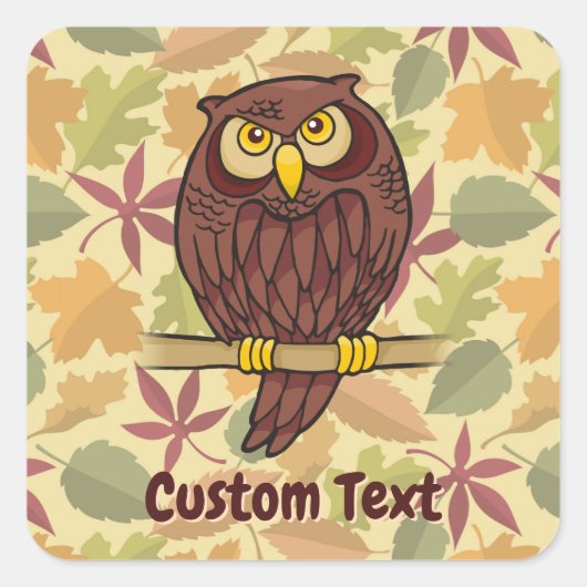 Owl Cartoon Square Sticker (Vorderseite)