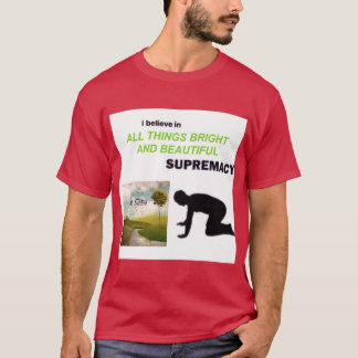 OWL CITY ALLHINGS BRIGHT AND BEAUTIFUL vintage T-Shirt