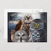 Owl Collage Postkarte (Vorne/Hinten)