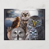 Owl Collage Postkarte (Vorderseite)