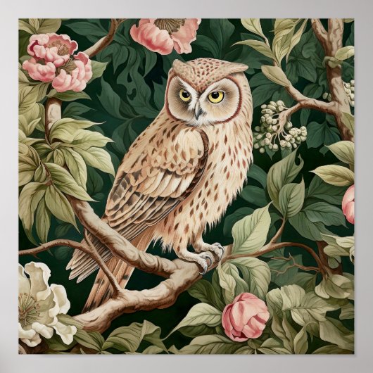 Owl Decorative Malerei Poster (Vorne)