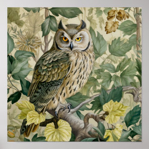 Owl Decorative Malerei Poster