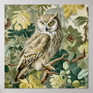 Owl Decorative Malerei Poster