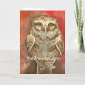 Owl 'Denken Sie an Sie' Grußkarte Karte (Rückseite)