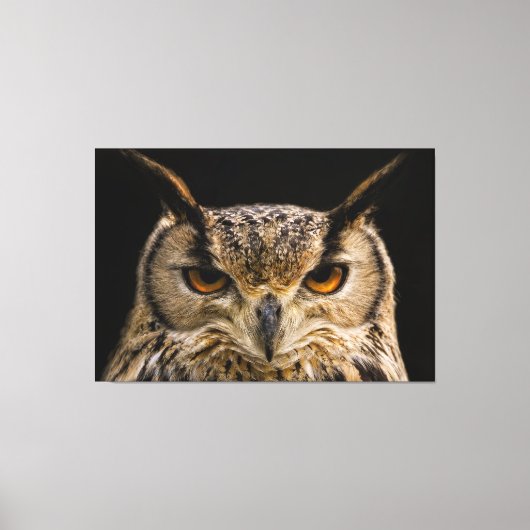 OWL, EGAL OWL WRAPPING CANVAS DRUCKEN LEINWANDDRUCK (Vorderseite)