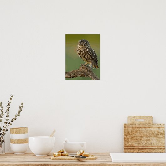Owl Eye Bird Wild Poster (Küche)