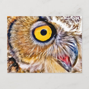Owl Eye Postkarte